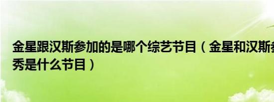 金星跟汉斯参加的是哪个综艺节目（金星和汉斯参加的真人秀是什么节目）