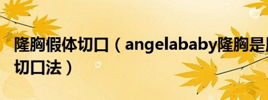 隆胸假体切口（angelababy隆胸是用的什么切口法）