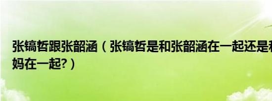 张镐哲跟张韶涵（张镐哲是和张韶涵在一起还是和张韶涵妈妈在一起?）