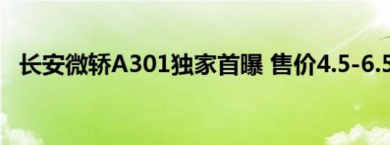 长安微轿A301独家首曝 售价4.5-6.5万间!