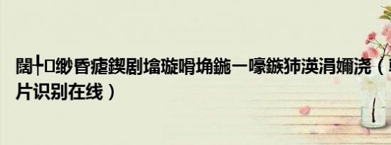 闊╄缈昏瘧鍥剧墖璇嗗埆鍦ㄧ嚎鏃犻渶涓嬭浇（韩语翻译图片识别在线）