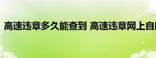 高速违章多久能查到 高速违章网上自助处理