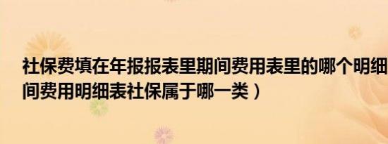 社保费填在年报报表里期间费用表里的哪个明细费用?（期间费用明细表社保属于哪一类）