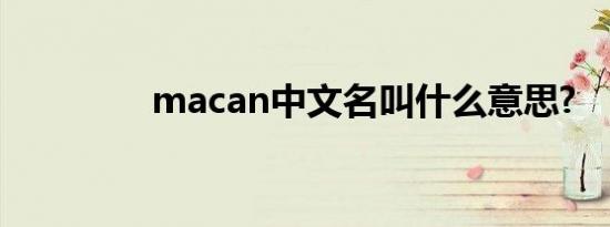 macan中文名叫什么意思?