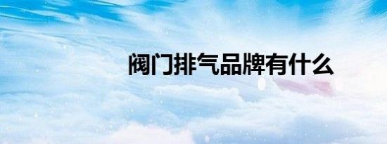 阀门排气品牌有什么