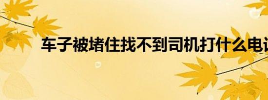 车子被堵住找不到司机打什么电话