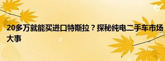 20多万就能买进口特斯拉？探秘纯电二手车市场，花小钱办大事