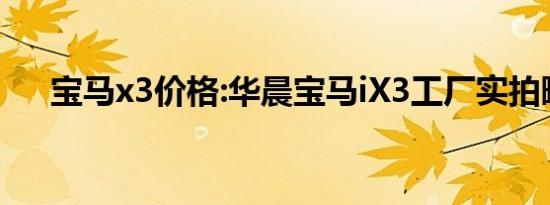 宝马x3价格:华晨宝马iX3工厂实拍曝光