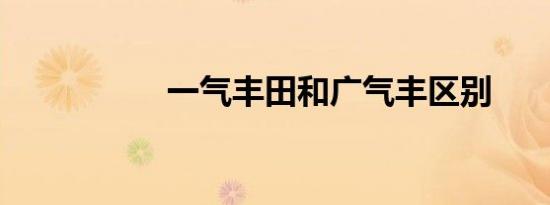 一气丰田和广气丰区别