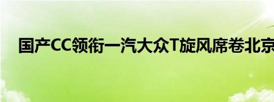 国产CC领衔一汽大众T旋风席卷北京车展