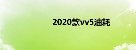 2020款vv5油耗