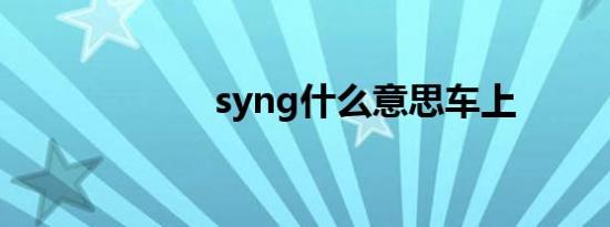 syng什么意思车上