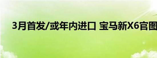 3月首发/或年内进口 宝马新X6官图放出