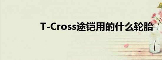 T-Cross途铠用的什么轮胎