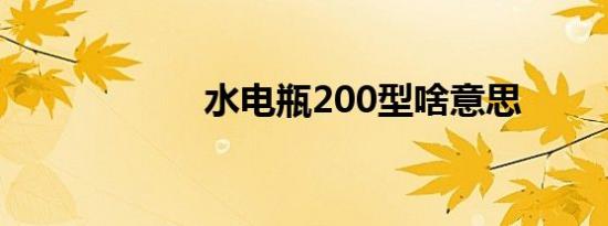 水电瓶200型啥意思