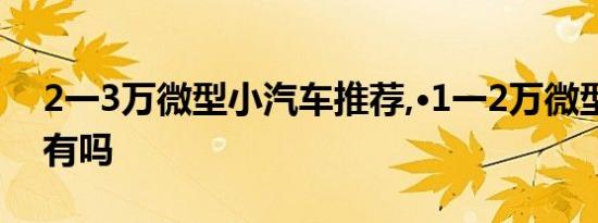 2一3万微型小汽车推荐,·1一2万微型小轿车有吗