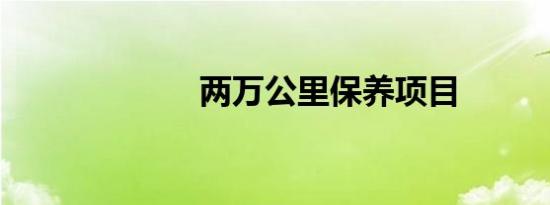 两万公里保养项目