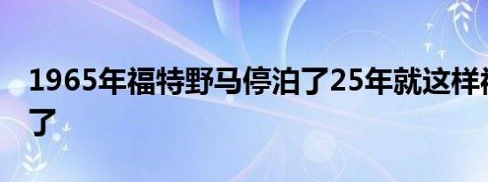 1965年福特野马停泊了25年就这样被火烧死了