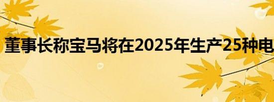 董事长称宝马将在2025年生产25种电动车型