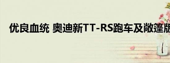 优良血统 奥迪新TT-RS跑车及敞篷版曝光