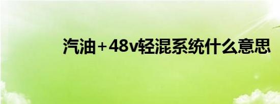 汽油+48v轻混系统什么意思