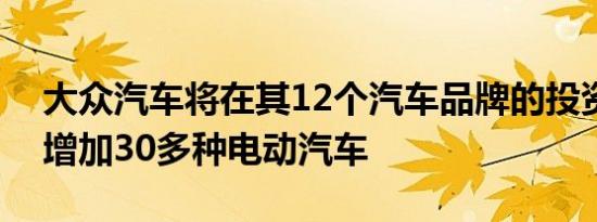 大众汽车将在其12个汽车品牌的投资组合中增加30多种电动汽车