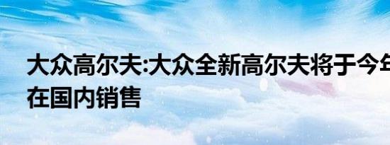 大众高尔夫:大众全新高尔夫将于今年下半年在国内销售