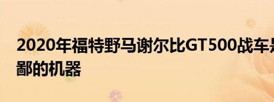 2020年福特野马谢尔比GT500战车是一个卑鄙的机器