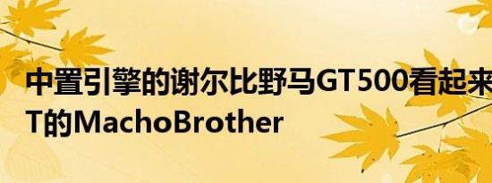 中置引擎的谢尔比野马GT500看起来像福特GT的MachoBrother