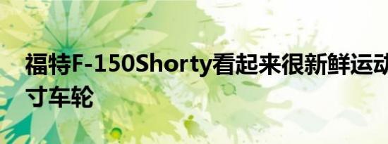 福特F-150Shorty看起来很新鲜运动型24英寸车轮