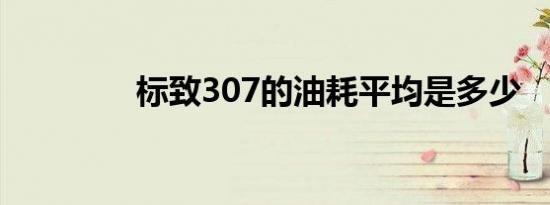 标致307的油耗平均是多少