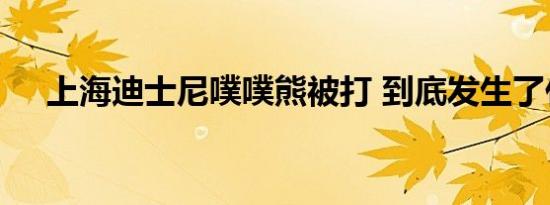 上海迪士尼噗噗熊被打 到底发生了什么