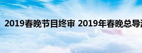 2019春晚节目终审 2019年春晚总导演是谁