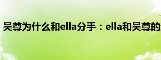 吴尊为什么和ella分手：ella和吴尊的结婚照