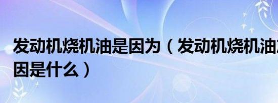 发动机烧机油是因为（发动机烧机油产生的原因是什么）