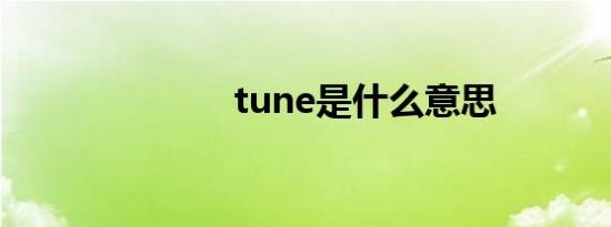 tune是什么意思