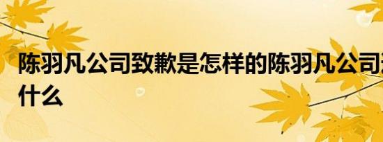 陈羽凡公司致歉是怎样的陈羽凡公司道歉说了什么