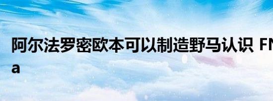 阿尔法罗密欧本可以制造野马认识 FNM Onça