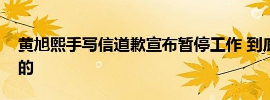 黄旭熙手写信道歉宣布暂停工作 到底是怎样的