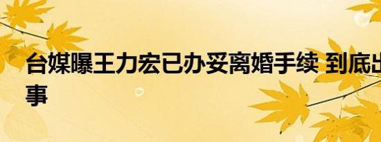 台媒曝王力宏已办妥离婚手续 到底出了什么事