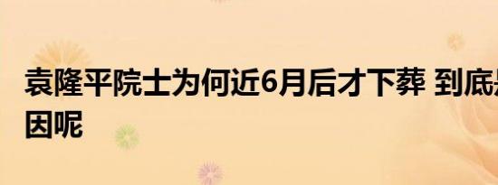 袁隆平院士为何近6月后才下葬 到底是什么原因呢