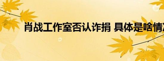 肖战工作室否认诈捐 具体是啥情况