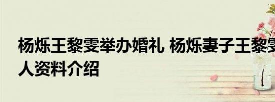 杨烁王黎雯举办婚礼 杨烁妻子王黎雯是谁个人资料介绍