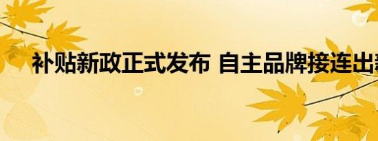 补贴新政正式发布 自主品牌接连出新车