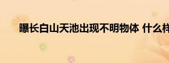 曝长白山天池出现不明物体 什么样子