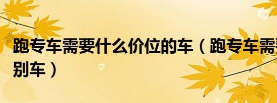 跑专车需要什么价位的车（跑专车需要什么级别车）