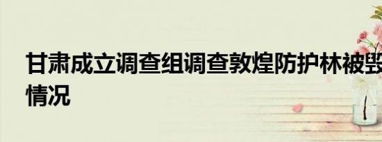 甘肃成立调查组调查敦煌防护林被毁 目前啥情况