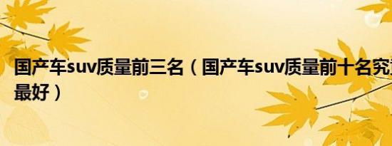 国产车suv质量前三名（国产车suv质量前十名究竟哪款质量最好）