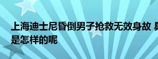 上海迪士尼昏倒男子抢救无效身故 具体情况是怎样的呢