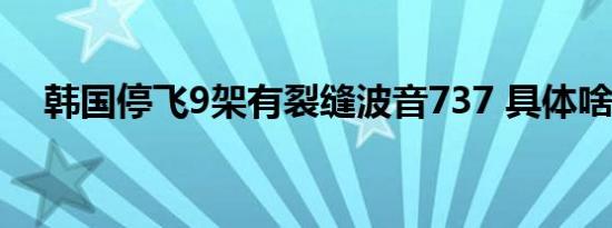 韩国停飞9架有裂缝波音737 具体啥情况